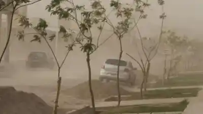 Alerta por fuertes vientos y llegada de aire polar a la Provincia