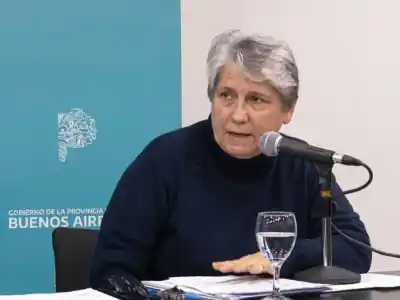 Flavia Terigi reveló el protocolo secreto que aplican en las escuelas bonaerenses ante las amenazas