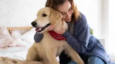Tratan a sus mascotas como hijos y lo que los expertos revelan te hará cambiar de opinión