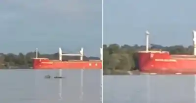 Perdió el control en el río Paraná y el insólito final de su travesía sorprendió a todos