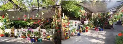 Conoce los Ganadores de los Mejores Jardines de Monteros