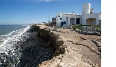 El mar avanza sin piedad sobre este paraíso: lo que las olas y los loros están haciendo desaparecer