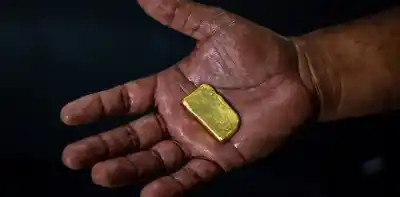 La mentira del oro americano: compran metal de carteles y minas ilegales para acuñar monedas oficiales