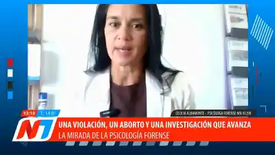El escalofriante relato de la psicóloga forense sobre la nena santiagueña: “No hay una sola situación grave, es el conjunto”