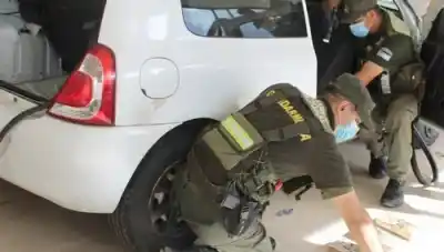 Viajaban de Salta a Santiago y el perro antinarcóticos los delató: lo que escondían en el auto dejó helados a los gendarmes