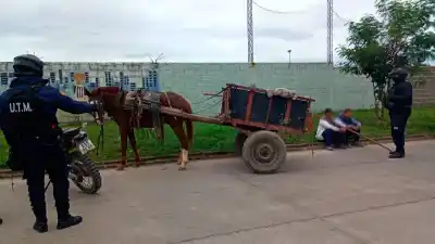 Vecina alertó sobre un látigo y lo que vino después dejó helada a la policía