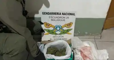 Viajaba en micro con un paquete sospechoso: la perra ‘Cielo’ lo olió y el final no fue el esperado