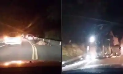 Chocó una vaca y volcó en la Ruta 307