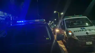 Un perro se cruzó en su camino y lo que pasó después la dejó hospitalizada