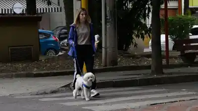 Jueves con viento fuerte y ráfagas en Santiago: ¿qué pasará con el clima?