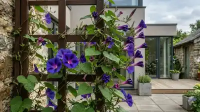 No es un meteorólogo: la enredadera que anticipa tormentas cerrando sus flores