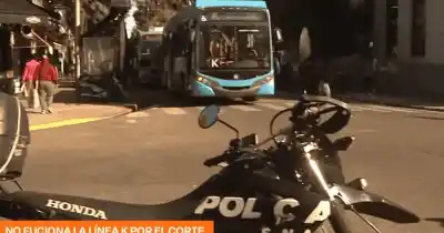 Una mujer cruzaba y un conductor dobló: el impactante siniestro que paralizó la línea K