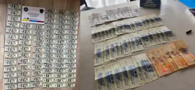 Crearon una app trucha para estafar inversores: el imperio cripto que cayó con 250.000 dólares