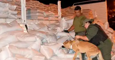 Condenaron al líder narco que seguía traficando cocaína desde la cárcel: la cifra que sorprendió al tribunal