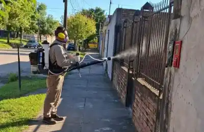 Lo que encontraron en los patios tucumanos encendió las alarmas sanitarias