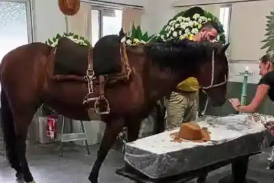 Entró al velorio de su dueño y lo que hizo frente al ataúd dejó a todos en llanto