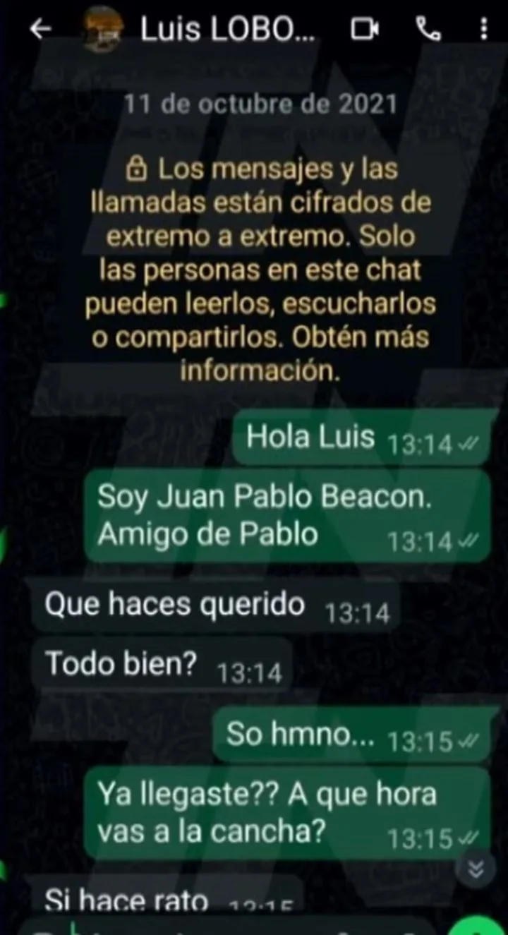 Polémica con el árbitro Luis Lobo Medina: los chats difundidos por TN.