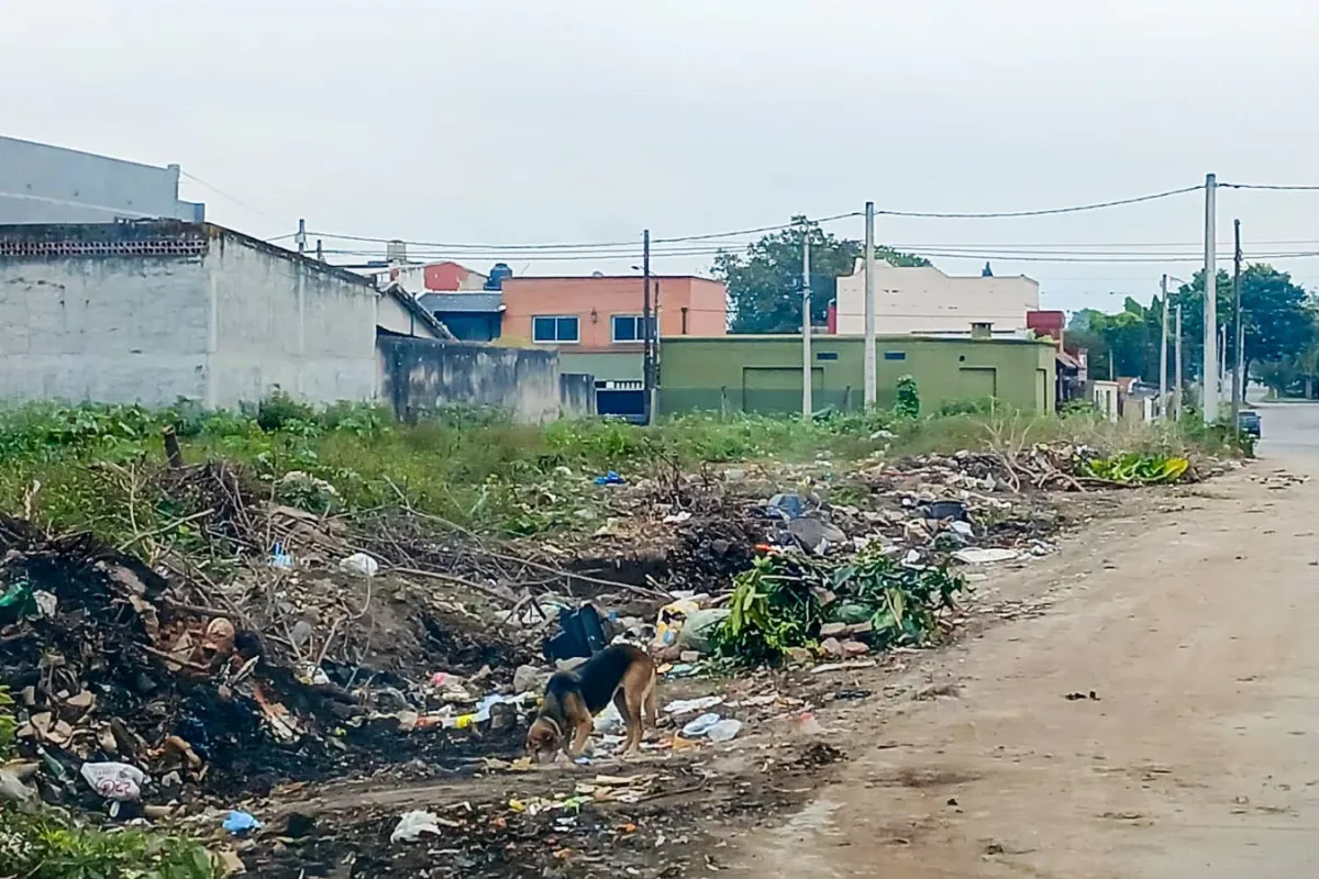 Vecinos participando de los talleres