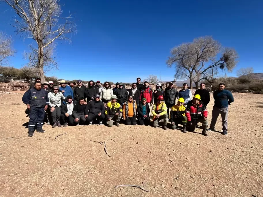 Rescate de vicuñas