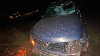 Chocó contra un caballo en la Ruta 7 y el auto terminó destrozado en la banquina