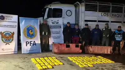 Ocultaron 70 kilos de cocaína en un camión y la policía los atrapó con un escáner