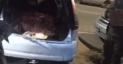 Ocultos entre pastizales y con un animal faenado en el auto: la insólita detención en plena madrugada