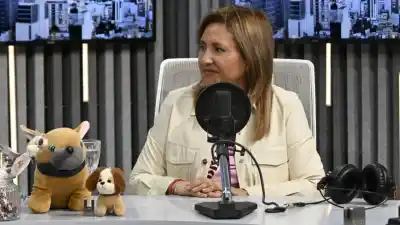 Las impactantes cifras de castraciones que reveló la intendente y que nadie esperaba
