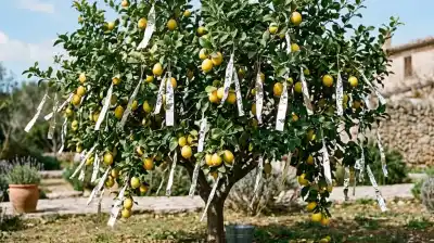 El truco del papel aluminio en el limonero que todos están probando