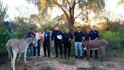 Allanaron un rancho en Cerrillos y lo que encontraron adentro sorprendió a los policías