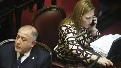 Designan al hijo de una senadora en un cargo clave en plena negociación por las PASO