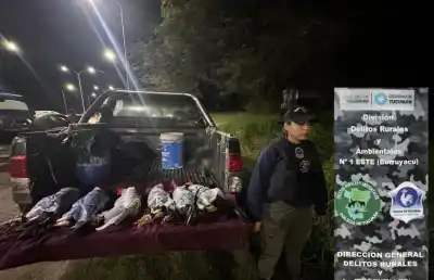 Inspeccionaron una camioneta en Burruyacú y el hallazgo en la caja trasera dejó a todos impactados