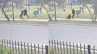 Paseaba a su perro cuando un ladrón la atacó por la espalda y la arrastró para robarle