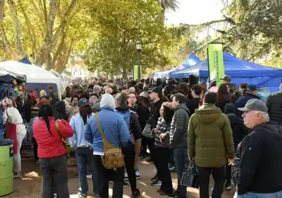 Fin de semana largo con menos turistas y gastos más ajustados: el dato que preocupa