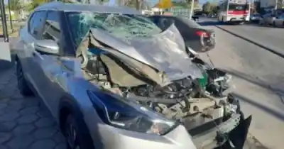 Impactó de lleno contra un caballo en la ruta y lo que pasó después nadie lo esperaba
