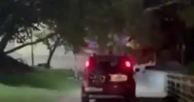 Manejó por la rampa peatonal de los Silos Davis y cuando la grabaron insultó a los testigos: ahora la buscan para sancionarla