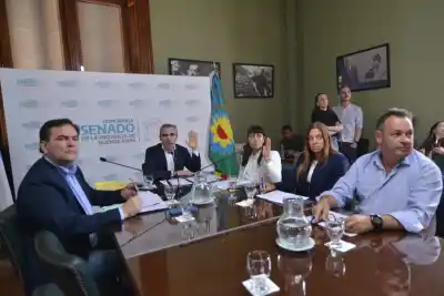 El Senado bonaerense ya tiene sus 25 comisiones, pero una clave quedó sin definir