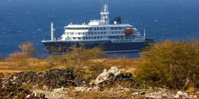 El brote que no para: confirman más casos de Hantavirus en el crucero y buscan contrarreloj a pasajeros de un vuelo clave