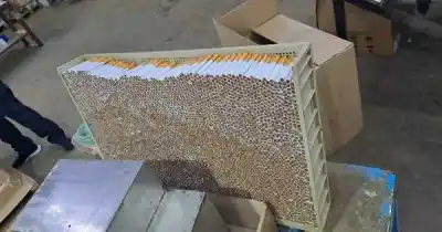 Desmantelan fábrica clandestina de cigarrillos en San Luis: el producto llegaba a cuatro provincias