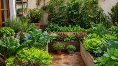 Tiene un patio chico y lo que plantó en otoño dejó a todos con la boca abierta