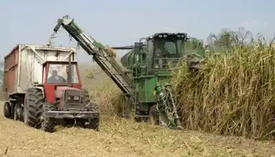 Pasaron semanas de incertidumbre y lluvias: la zafra 2026 arrancó con maquinaria en marcha