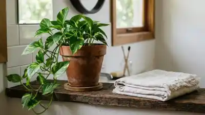 El insólito truco de jardinería que salva tus plantas del frío: una toalla vieja en la maceta