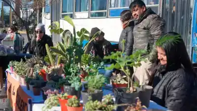 Vuelve el Mercadito Saludable a La Banda: productos sin TACC, frutas y plantas te esperan