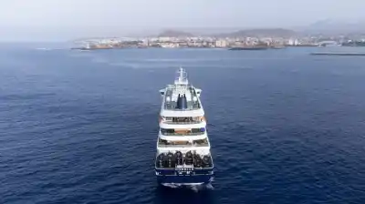 Enviaron expertos a Ushuaia para analizar ratones: buscan el origen del brote de hantavirus en un crucero