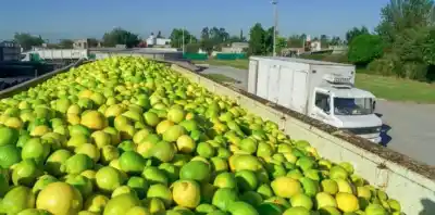 El dato que esconden las exportaciones tucumanas: crecieron pero quedaron lejos del boom nacional