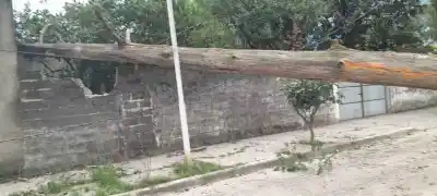 Hubo voladuras de techo y caída de árboles en Monteros