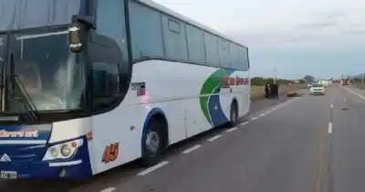 Choque y arrastre: un micro con 35 pasajeros chocó contra un caballo en la ruta y lo que pasó después es increíble