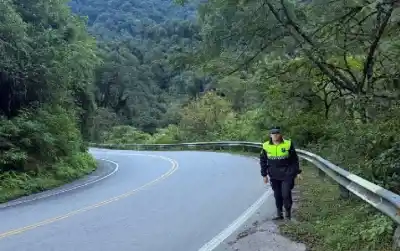 Cayó por un precipicio de 6 metros en Tafí del Valle y lo que encontraron los rescatistas sorprendió a todos