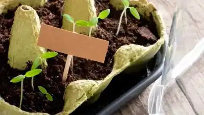 Aprendé a construir tu propia cuenca ecológica con materiales reciclados en La Banda