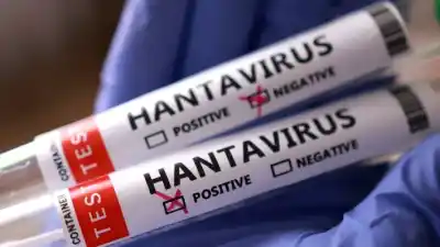 Científicos lograron avances clave contra el hantavirus, pero el verdadero obstáculo está lejos del laboratorio