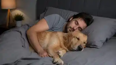 Lo que hacés con tu perro todos los días y que los expertos recomiendan dejar ya mismo